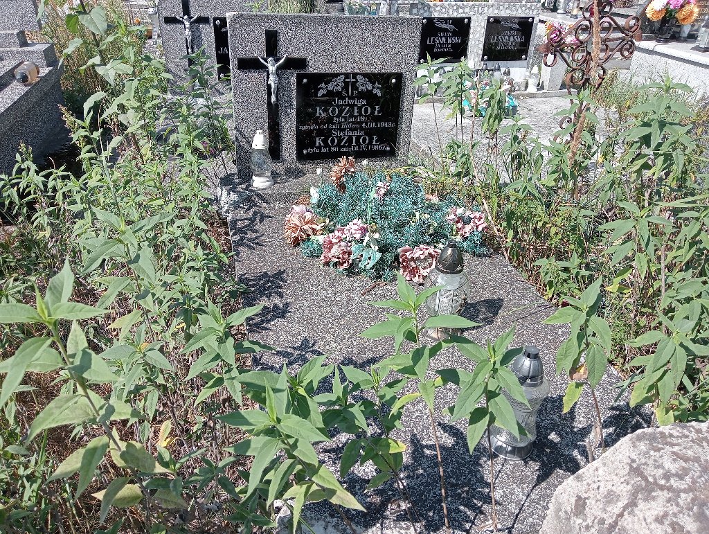 Grób Jadwiga Kozioł