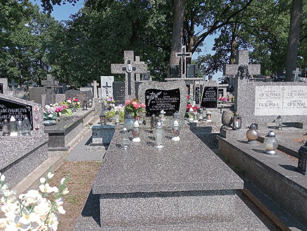 Grób Aleksander Chojnowski
